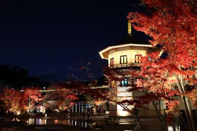 円通院と瑞巌寺のライトアップ