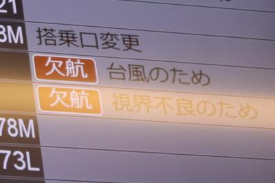 2023年６月　レブンアツモリソウが見たくて稚内へ～なのに視界不良で飛行機欠航、さぁどうしよう