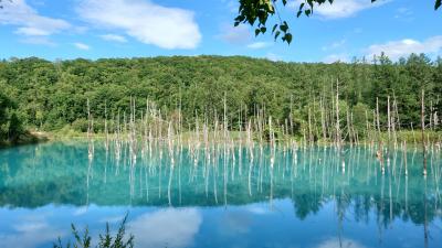 お盆に行くソフトクリーム三昧北海道(2日目)