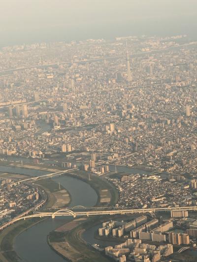 東京の遊覧飛行で幕を閉じた佐世保出張