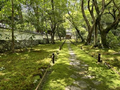 前泊利用で京都西芳寺、鈴虫寺と桂離宮