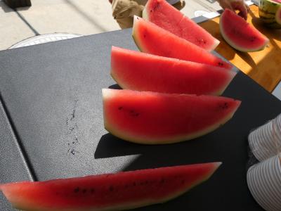 2023・夏・夏休みの思い出作り