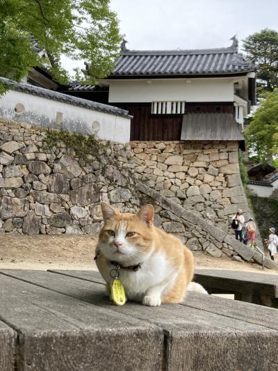 8日目　隠れた歴史旅-備中松山城と吉備津神社