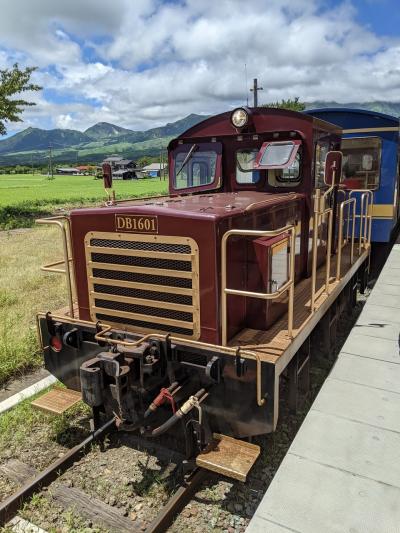 九州の鉄道路線乗りつぶしの旅（南阿蘇鉄道）