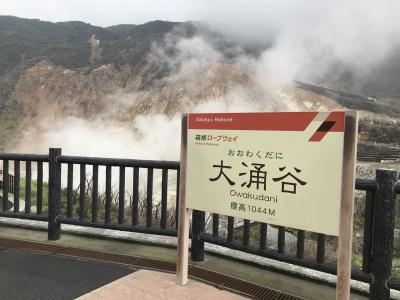 【休暇】出発日にプランを立てるも、スイス旅行した気分になれた箱根