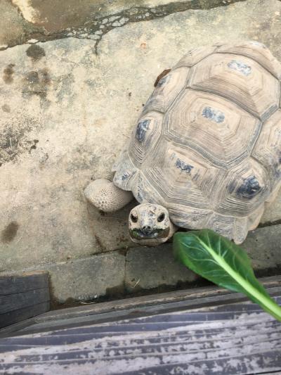 日本巡り最終は岐阜県！舐めてた最高の淡水水族館