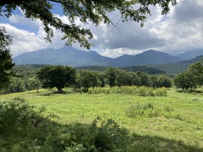 信濃町もろこし街道で焼きモロコシを食べ、笹ヶ峰高原でトレッキング。最後は野尻湖でグルメバーガーを食す