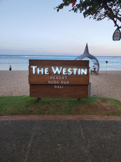 バリ島家族旅行　その２