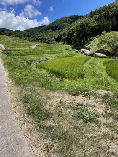 長野の棚田巡り①