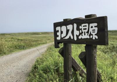 北海道 白老町 萩の里自然公園６ｋｍコース・ヨコスト湿原（日本の重要湿地500選）散策  花探しの巻
