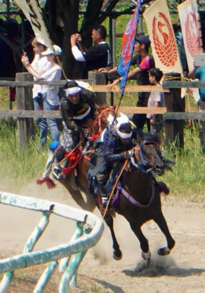 トラピックス　相馬野馬追・会津鶴ヶ城公園と大内宿の旅（5）甲冑競馬と神旗争奪戦の戦国時代さながらの迫力に圧倒される。