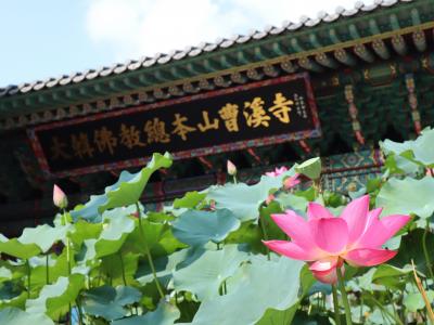 Road to Seoul ~国際航路&韓国高速鉄道で行く大陸への道~ ③色彩の都ソウル編