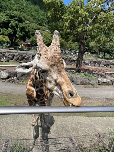 2023夏休み旅行は台風回避で少し短くなりました（1日目）