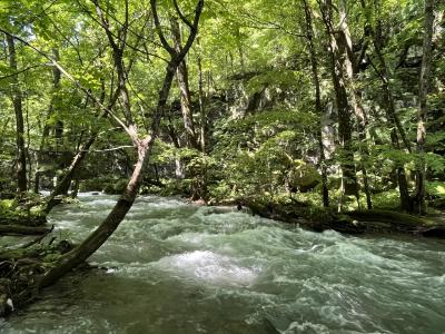 夏の奥入瀬渓流と青森屋を満喫する旅vol.2