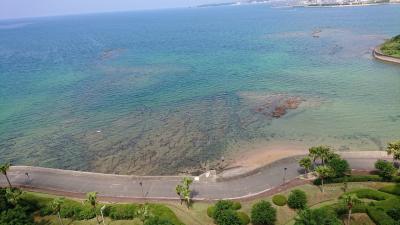 白崎海洋公園、紀伊田辺、白浜一泊二日の旅パート3