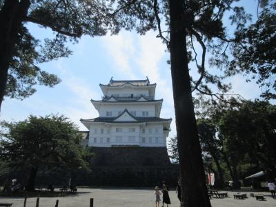 遠江～駿河～伊豆を旅して　１）小田原城