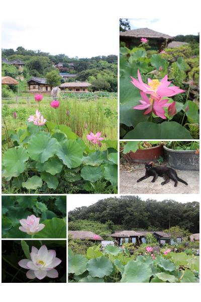 3年ぶりの海外は韓国へ！ その⑦５日目は慶州から世界遺産『良洞民族村』へ！　