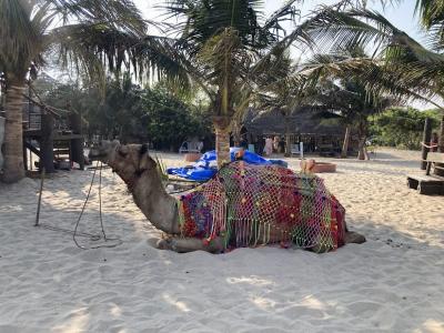 南インド タミルナドゥ州縦断⑥