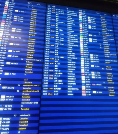 2023 17thシンガポールの旅～台風直撃空港閉鎖の０日目・１日目～