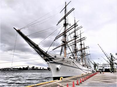 ２０２３年８月、〝 練習帆船海王丸 ” が神戸港に１００回目の入港、そして〝 飛鳥Ⅱ”も同時入港！