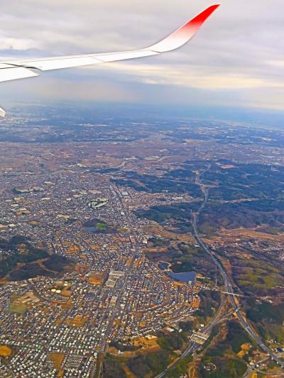 羽田空港着　JAL908便ｂ　那覇発　57K席　☆伊豆大島/房総半島旋回-東京湾アクアライン沿い