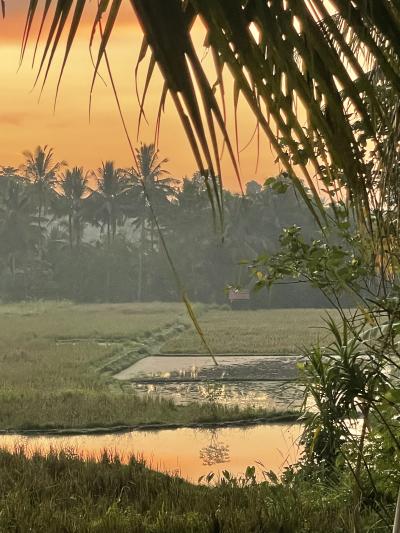 2023年 4トラ友達と行くバリ島女子旅☆アジアンリゾート満喫のUbud【後編】