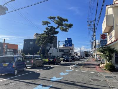 東海道五拾三次を歩いてみた　藤枝宿→島田宿(嶋田宿)