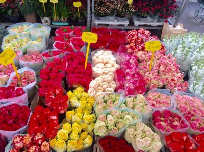 パリ 暮らすようにのんびり旅する