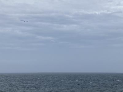 秋の道東4泊5日③　　雨の納沙布岬 帯広～根室～釧路　厚岸は別で