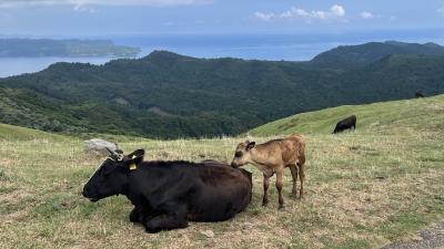 海の青さが違う！夏の終わりに隠岐諸島の西ノ島と知夫里島に行ってきました。パート３～知夫里島～