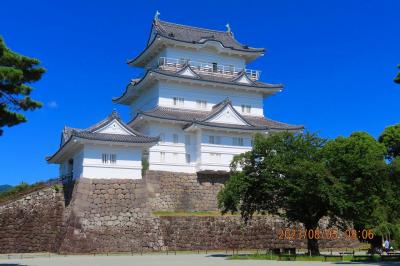 2023 猛暑...おとなの週末・小田原旅行～③開城タイミングで訪問した小田原城