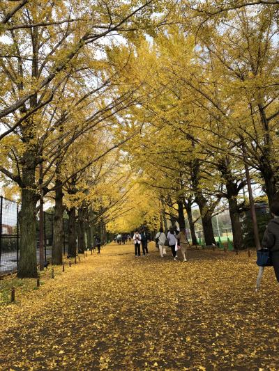 日帰りドライブ　昭和記念公園