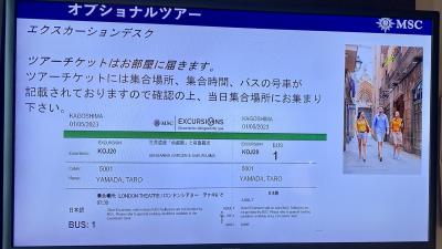 MSCベリッシマ　オプショナルツアーについて　【釜山編】