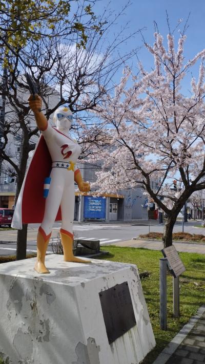 春の函館桜旅