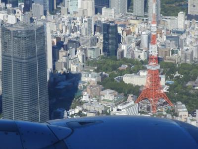 【赤犬の尻尾】東京遊覧飛行、だよねぇー?!