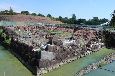 青春18きっぷで静岡日帰り旅～駿府城公園＆沼津港深海水族館