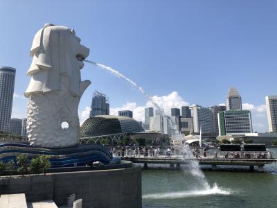 ② 【母子二人旅】ジョホールバル→シンガポール