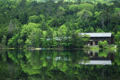 2ヶ月ぶりの月イチ旅行は蓼科 （２）苔の森と湿原歩き