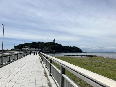 夏の乗り鉄　未開拓の路線を乗り潰す