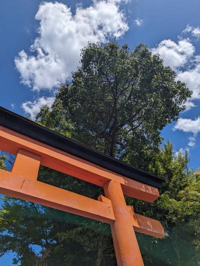 宇治上神社と宇治神社へ　青春１８切符の旅①