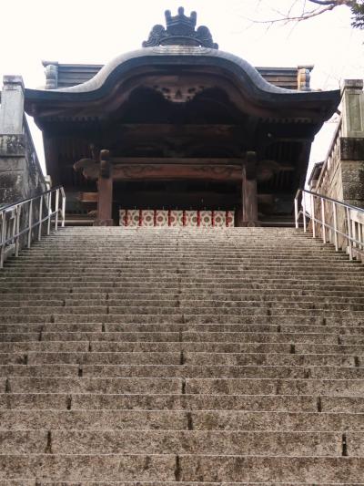 宇都宮15　宇都宮二荒山神社　下野国一宮/古社　☆社殿-明治10年再建・大鳥居‐400年ケヤキ