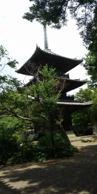 23夏旅行 最終日3