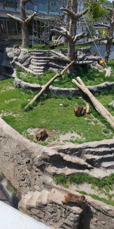 円山動物園をエンジョイする一日