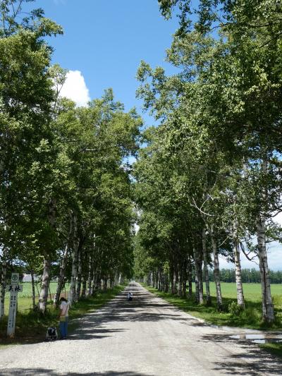 2023年 夏の北海道⑮ "道の駅 おとふけ" から "鹿追町" への移動途中で遭遇した "白樺並木" は、有名な観光スポットだった！