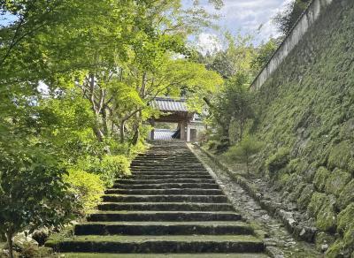 晩夏の高知、旬の魚に湧く『土佐の一本釣り』の町　と　酒蔵の町を訪ねて