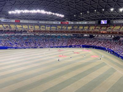 ビジホに泊まって野球観戦