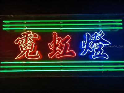 香港★街頭から消えゆくネオンサインに焦点を当てた展示「霓續 Vital Signs」＠大館