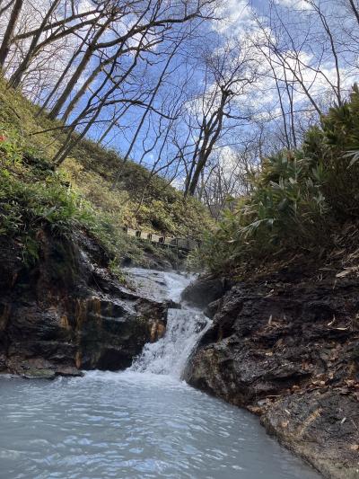 温泉とおいしいごはんをさがして北海道をぶらりする旅