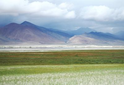 ラダック カンヤツェⅡ峰への旅 3 ツォ・カルで探鳥
