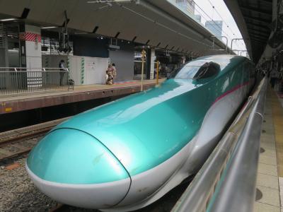 2023年6月 北海道新幹線で行く道南3泊4日の旅<1日め>新函館北斗→銀婚湯